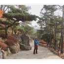 하담 이미지