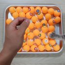토리로또