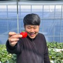 신남농장 이미지