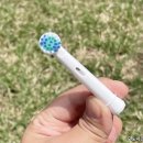 토비메모리 - 8371 | 토비메모리