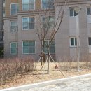 별내중앙로84 이미지