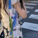 하이마이데이 이미지