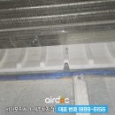 제주에닥