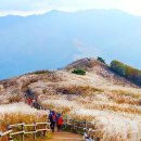 제95차 정기산행 : 민둥산 11월8일. 토요일 이미지