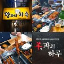 오늘 저녁 뭐 먹지?) 남포동맛집 부평동 양꼬치 양과의하루 남포점본점 내돈내산 후기