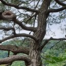 한마음충전소 이미지