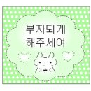 뷰티데이 - 제주시 | 뷰티데이