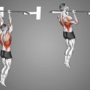 신천헬스 이미지