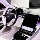 베벌리 도그 이미지