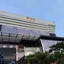 [경기] 시흥 shore 쇼어 카페 내돈내산 주말후기