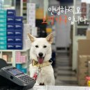 보명약국 이미지