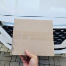 주식회사 이에스티 | 차량용청소기, 자동차핸디청소기 디티 핸디형 무선청소 주문해서 사용해 봤어요! 가볍고 흡입력좋네요!