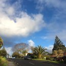 다빈치게임장 이미지