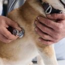 한마음동물병원 이미지