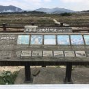 함평 고막천석교 이미지