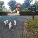 민벌공원 이미지