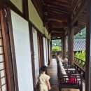 안동 농암종택 (사랑방) 솔직 후기(feat. 일엽편주)