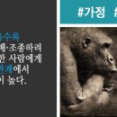 형제라이팅 이미지