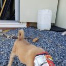 금순이농장 이미지