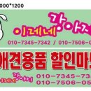 이레네강아지