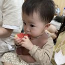 춘도식당 이미지