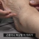 곤륜한의원 네이버블로그