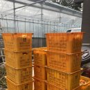 태현농장 이미지