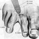 보해가든 이미지