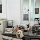 플랫슬로프 이미지