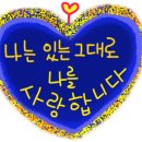 성전중학교 이미지