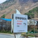 판부화덕피자 이미지