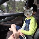 온양제일유치원 | 안양워터랜드 주말 이용 후기 9살 아들과 단둘이 물놀이 성공!