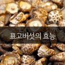 숲사랑농원 이미지