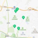 왜둘기 이미지