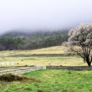 해맑은 목장 이미지