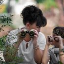 멘탈 리셋(자기탐구) 이미지