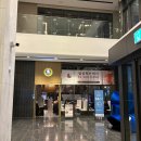 2022-1080 | 부산 패러그라프 쓰리룸 가족여행 해운대 숙소 5인 6인 추천 내돈내산