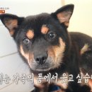 부은농장 이미지