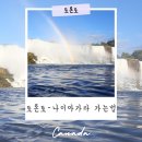 연아게스트하우스 | 캐나다 토론토에서 나이아가라 폭포 가는법! 투어 추천까지