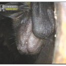 배티농장 이미지