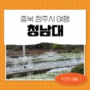 청남대별장푸드 | 청주 여행 청남대 가을 축제 솔직 후기