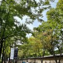 서봄약국 이미지