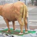 광릉정육식당 이미지