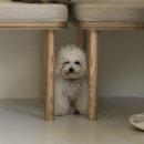 오파프부산 이미지