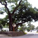 육동보건진료소 이미지