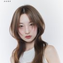 헤어선 네이버블로그