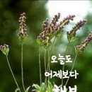 25년3월4일 화요일 서경방 출석부 이미지