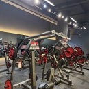 에이트짐 PT 노형점 | [상동 헬스] 디에이트짐 관장의 설레는 파나타 쇼룸 방문 후기