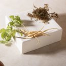 이야기가 있는집 이미지