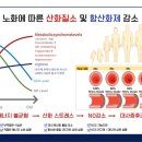 엔오바이오